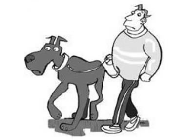 4.a big dog