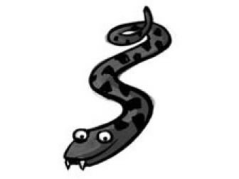 6.I’ve got a long tail.